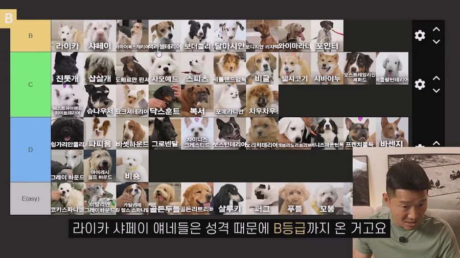 강형욱이 선정한 견종 난이도 티어리스트.jpg