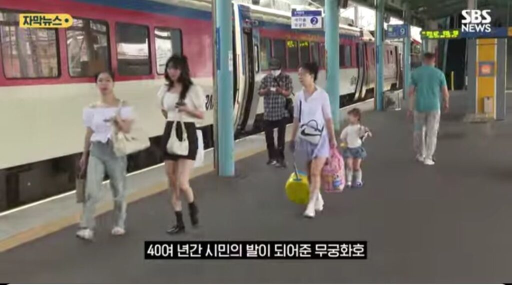 일본인, "북한인 줄 알았다"