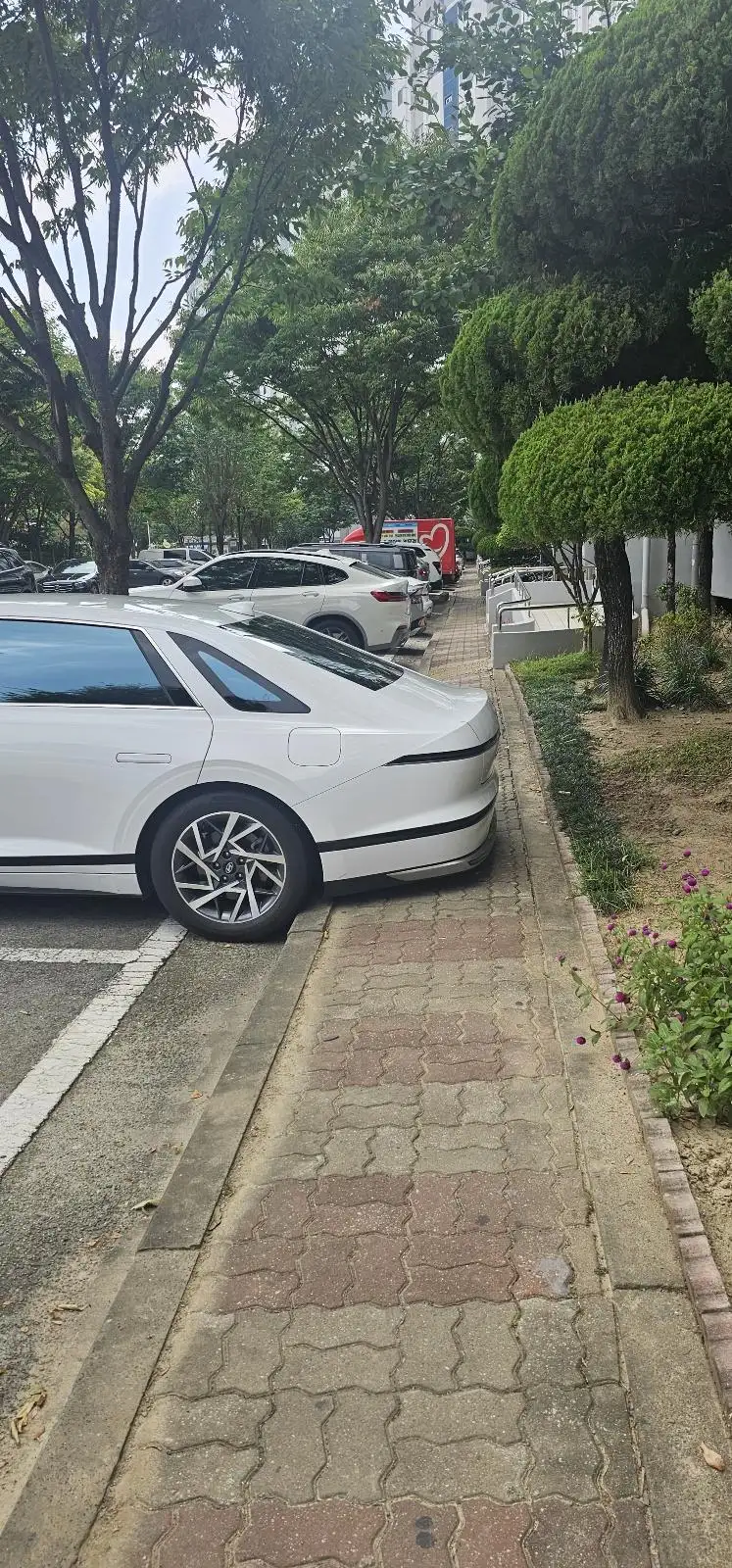 주차 정말 너무하네