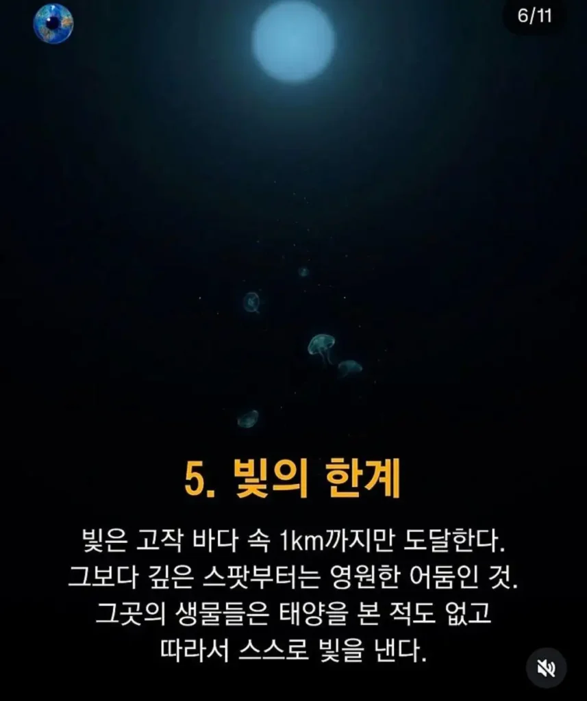 바다, 우주보다 더 무서운 곳
