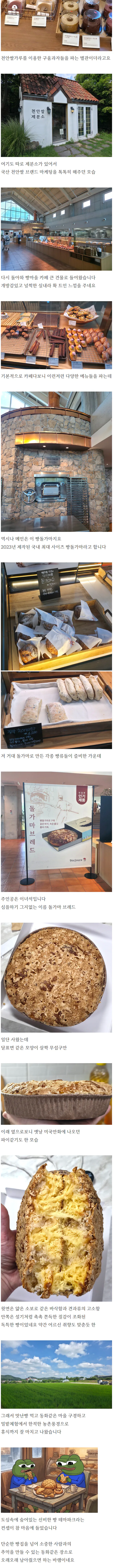 천안 돌가마 빵마을, 돈찐 블로그 후기