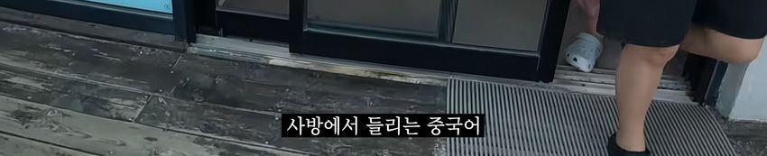 제주도 시내거리의 충격적인 근황.jpg