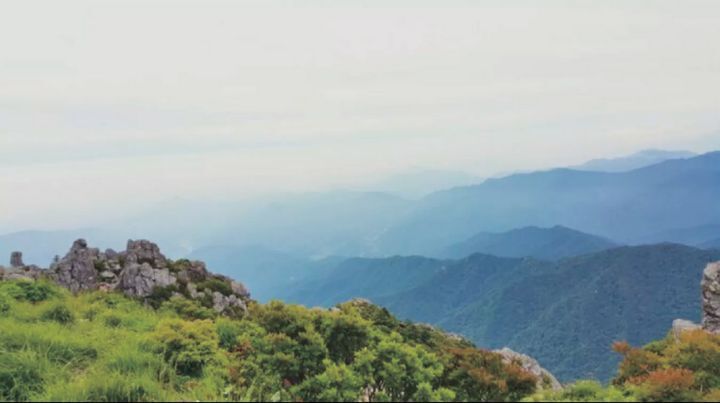 산에서 투신 시도했던 사람