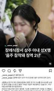 판사들이 미친 것 같네요…