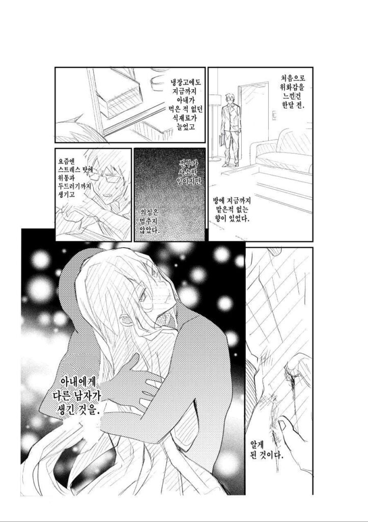 아내의 외도, 홈캠에 포착된 만화