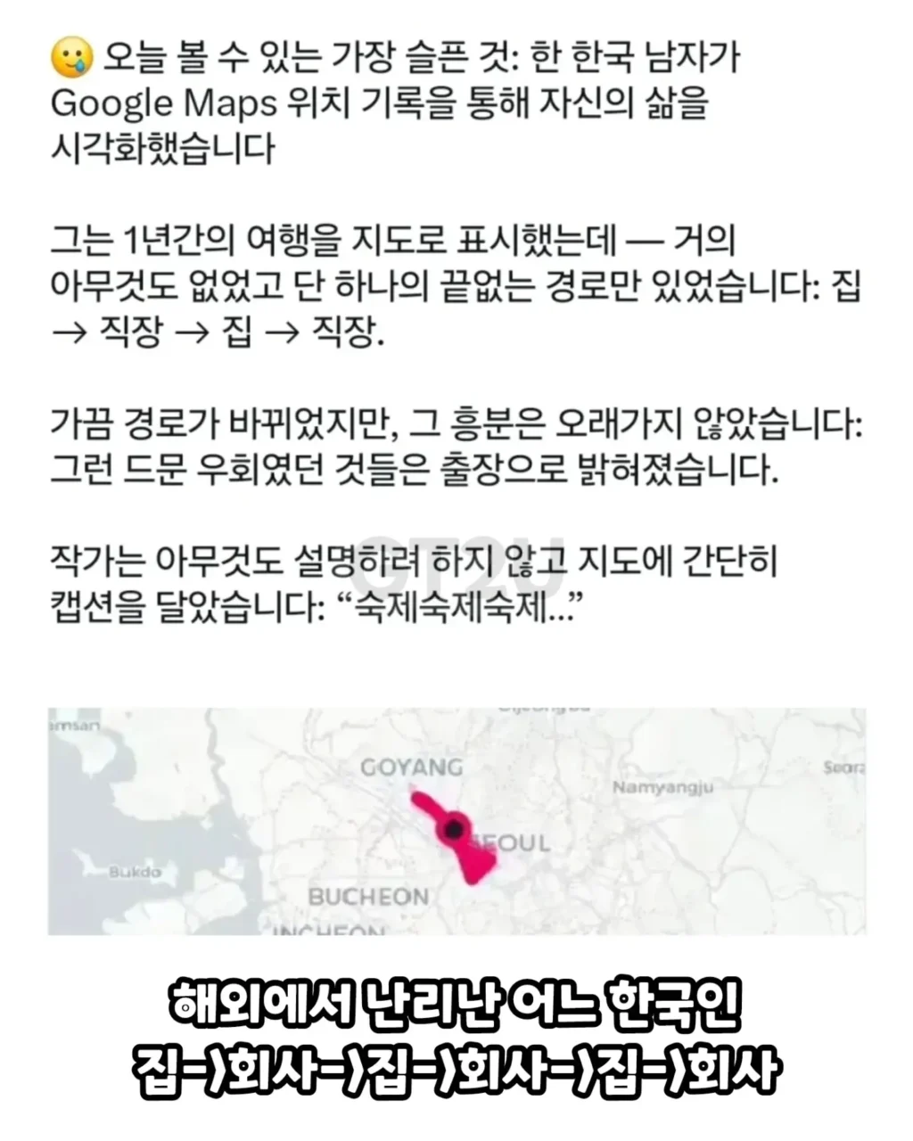 해외에서 안타깝다 말 나오는 어느 이토인의 행동 반경
