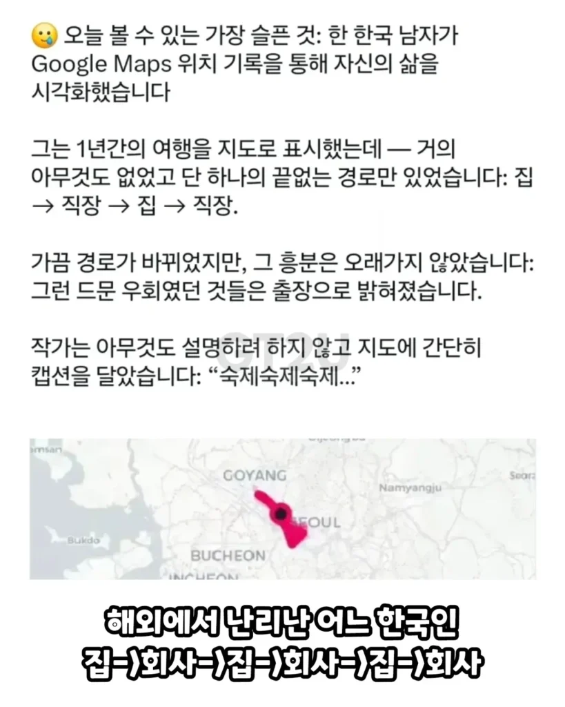 해외에서 안타깝다 말 나오는 어느 이토인의 행동 반경