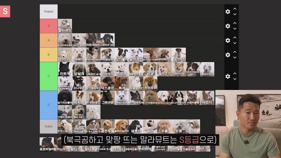 강형욱이 선정한 견종 난이도 티어리스트.jpg