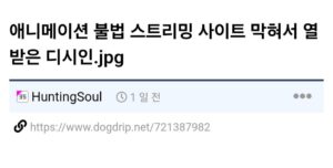 애니메이션 불법 스트리밍 사이트 막혀서 열받은 디시인.jpg