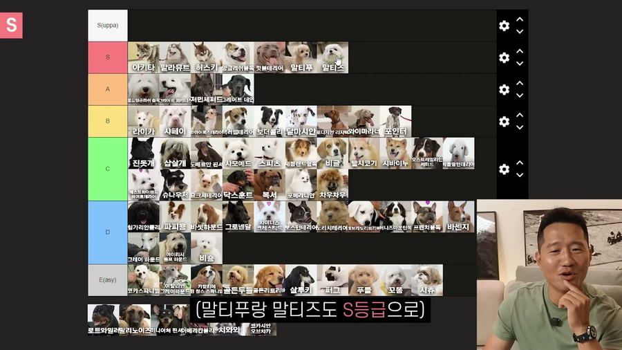 강형욱이 선정한 견종 난이도 티어리스트.jpg
