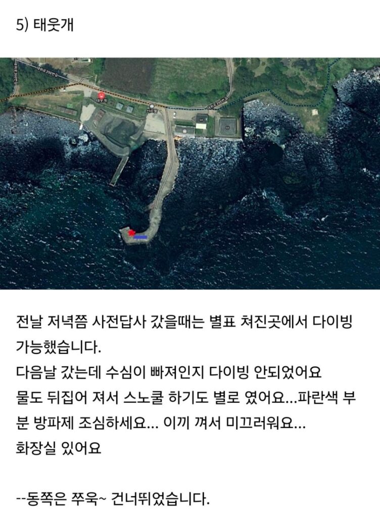 제주에서 수영하기 좋은 장소 공유
