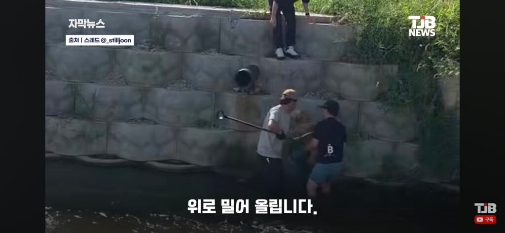 "몇 시간째 움직이지 않아…" 수로에 빠져 있던 40kg 리트리버