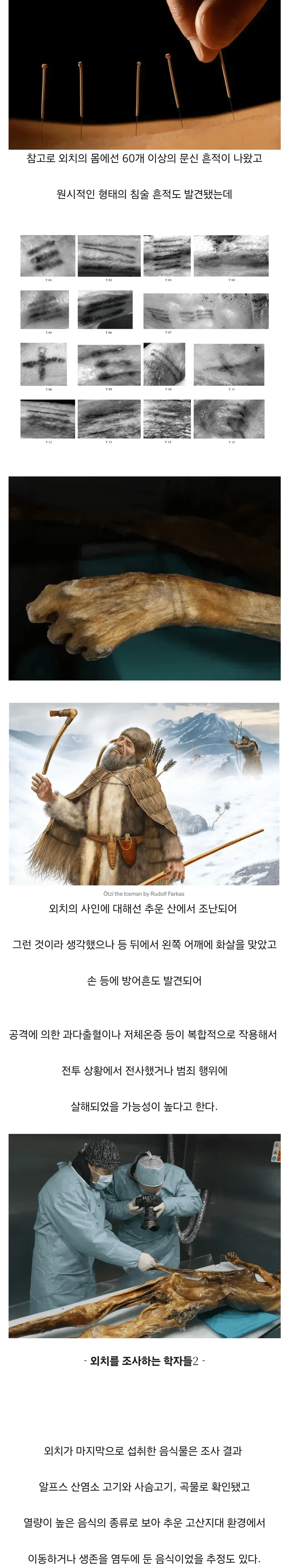 5000년 이상 얼음 속 미라의 비밀