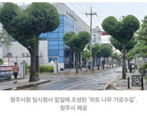 호불호 갈린다는 청주 가로수길, ㄷㄷ