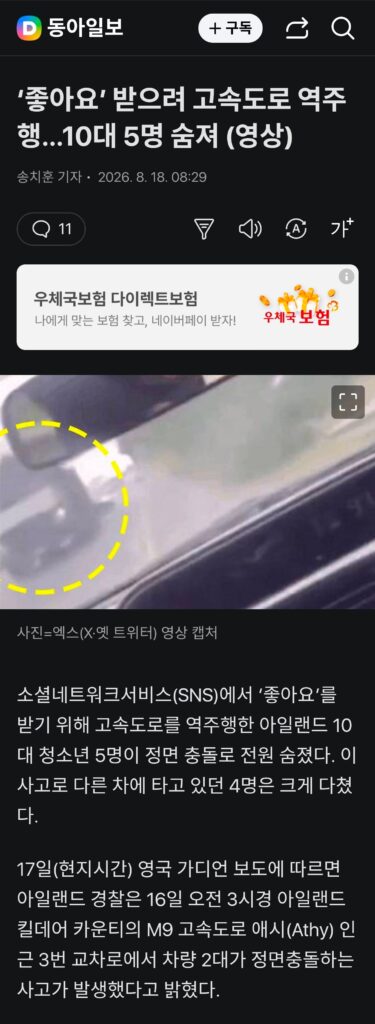 고속도로 역주행으로 '좋아요' 구하다 10대 5명 사망