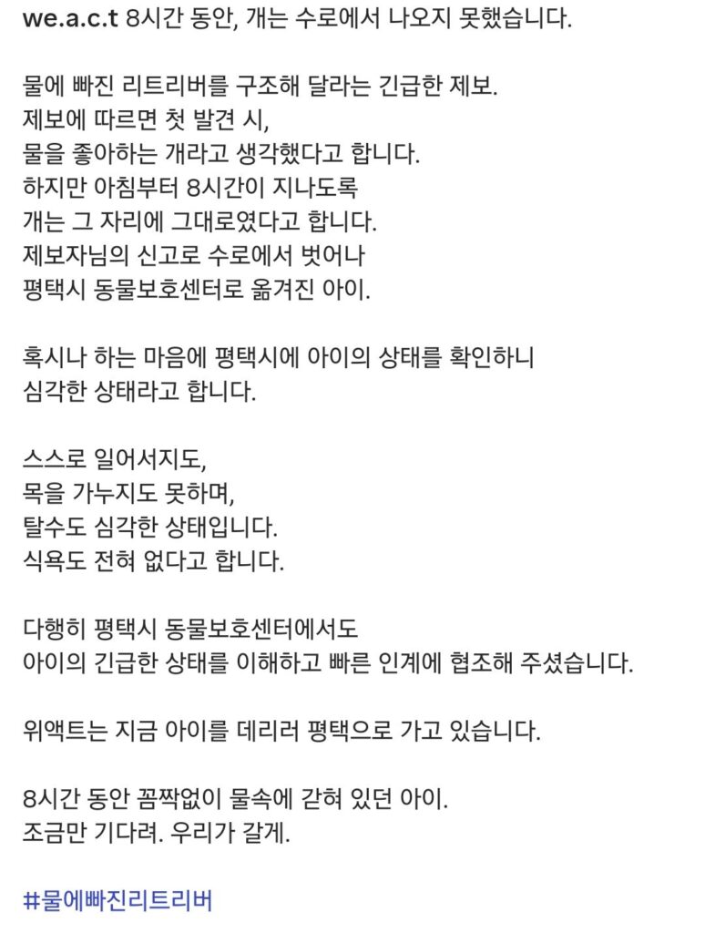 "몇 시간째 움직이지 않아…" 수로에 빠져 있던 40kg 리트리버