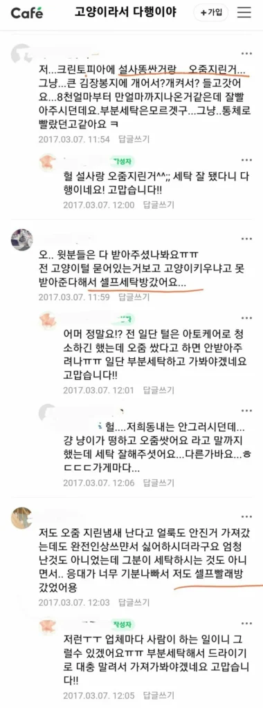 길고양이 돌보는 이들의 빨래방 이용 행태