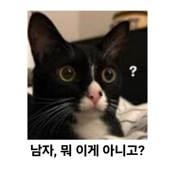 대만 코스플레이어의 숨겨진 이야기