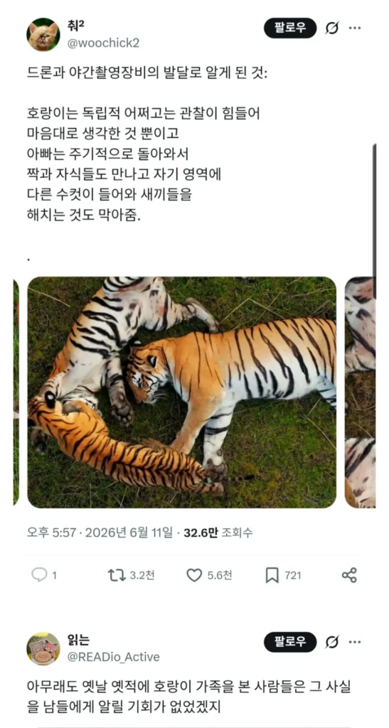 호랑이에 대한 새로운 사실 공개
