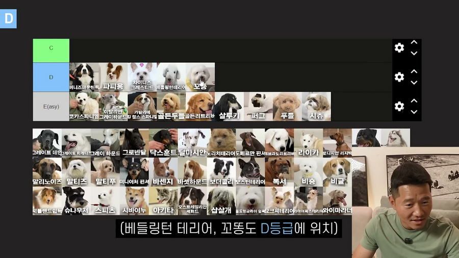 강형욱이 선정한 견종 난이도 티어리스트.jpg