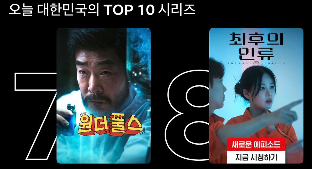 넷플릭스 글로벌 1위, 한국 시장의 난관