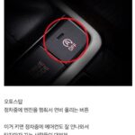 자동차의 많은 기능, 끄는 것도 가능