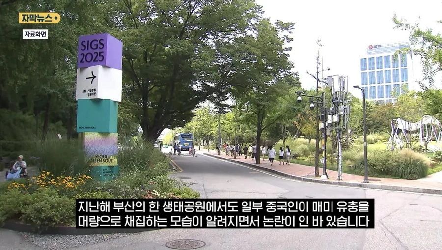 최근 한강공원에서 곤충 무단 채집 현수막을 건 이유.news