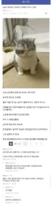 33세 여성, 연애 경험을 통해 느낀 점