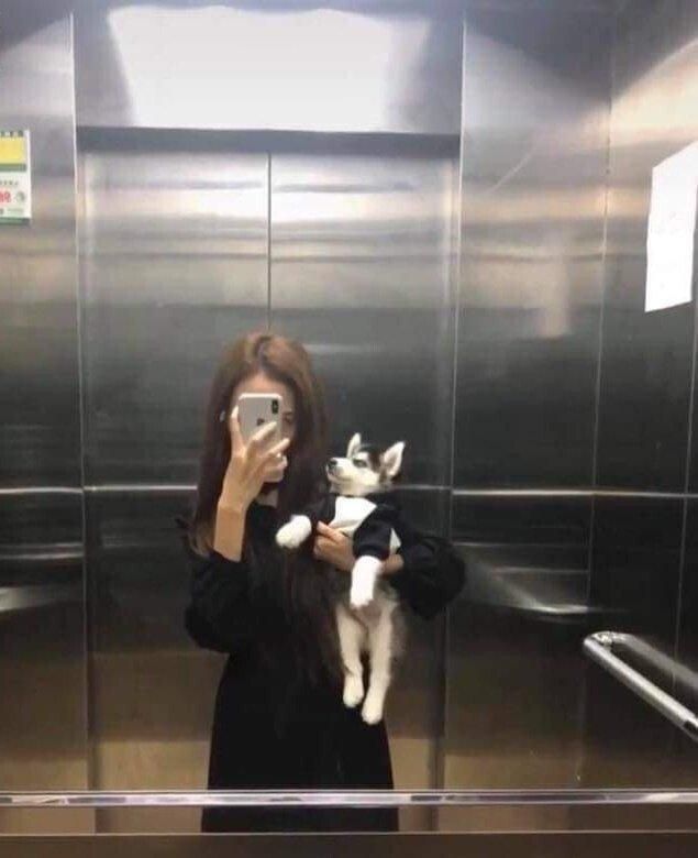 키우고 싶었던 귀여운 댕댕이 누나