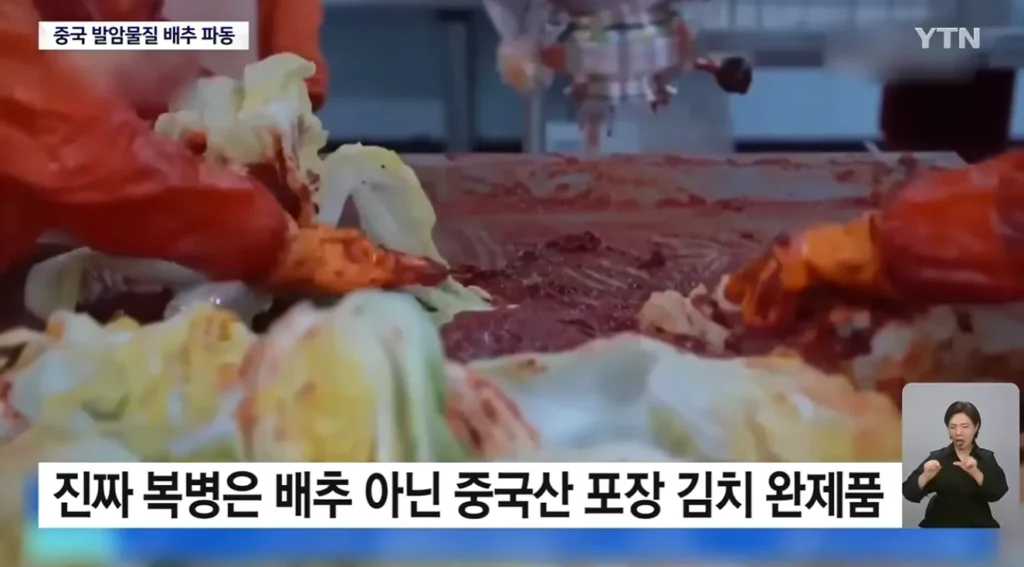 중국 발암물질배추 상황