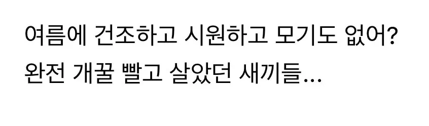 유럽 건물, 왜 방충망이 없을까? ㄷㄷㄷ