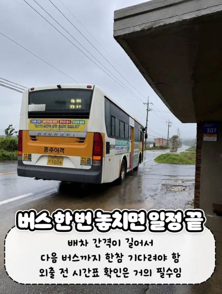 진짜들만 아는 찐시골 특징 모음