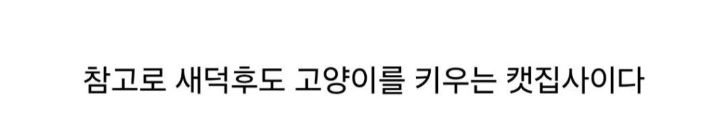 새덕후, "나는 고양이 혐오 안 해".jpg