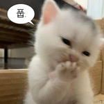트럼프 놀리는 이란 SNS.jpg