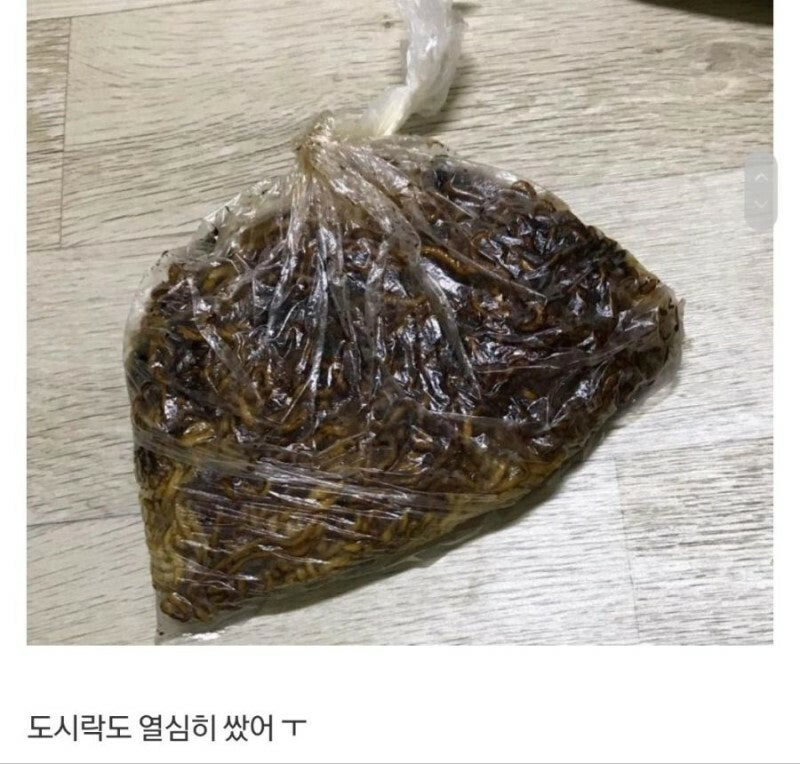 썸남과 피크닉 준비하는 여성.jpg