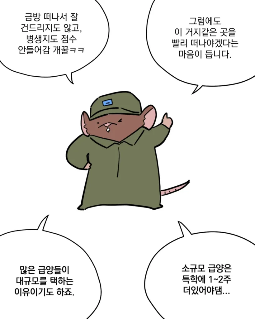 공군 급식 만화... manhwa