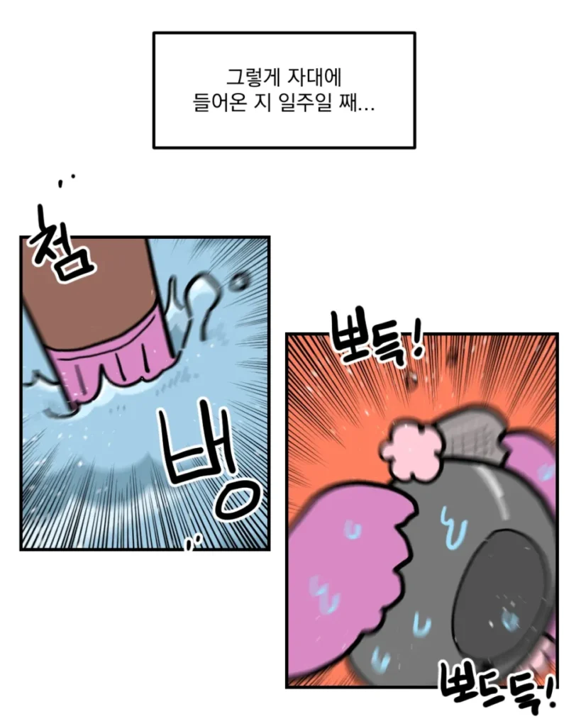 공군 급식 만화... manhwa