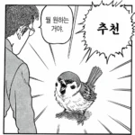 메인쿤 실제 크기, 직접 체감해보기
