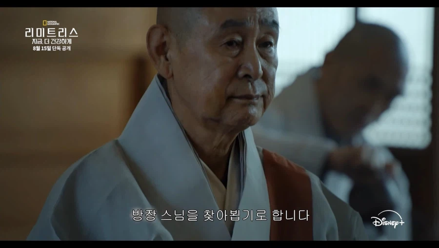 한국 불교에 대한 디즈니의 시각