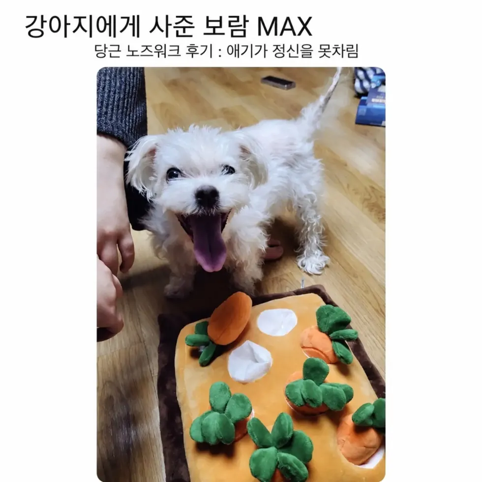 강아지 장난감 후기: 보람 MAX