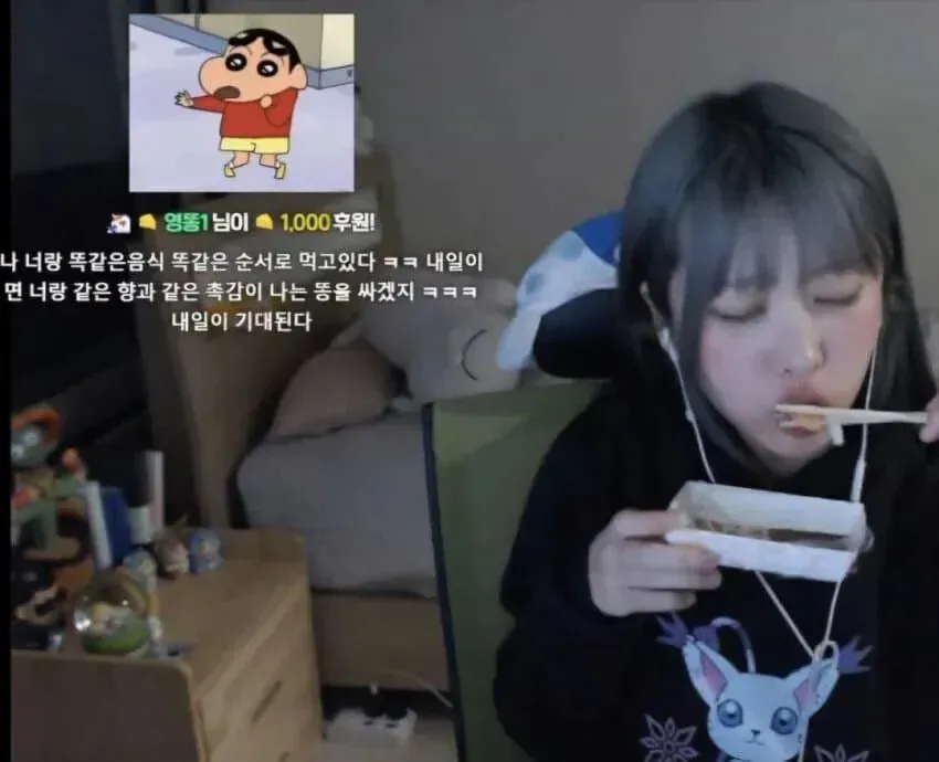 인터넷 방송이 힘든 이유 (혐오주의) - 가짜였으면 좋겠어요