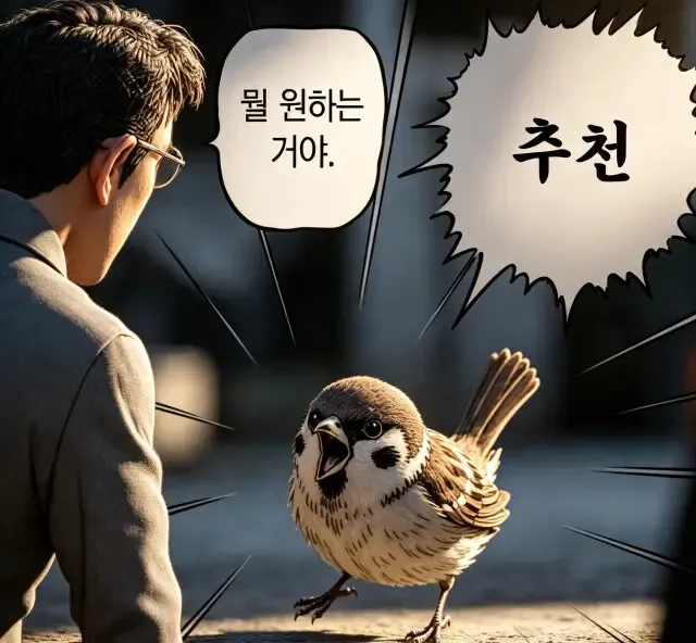 남자친구가 차가 없어 불편함을 느껴요