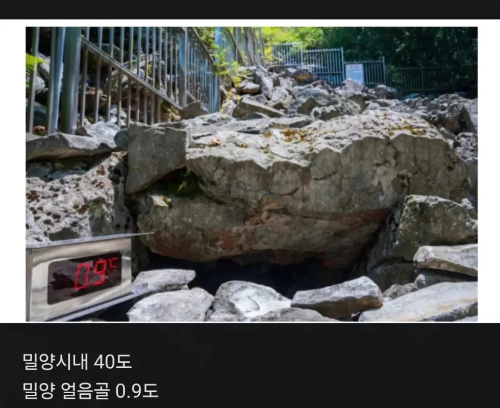 지금 닉값 제대로 하는 곳 ㄷㄷ