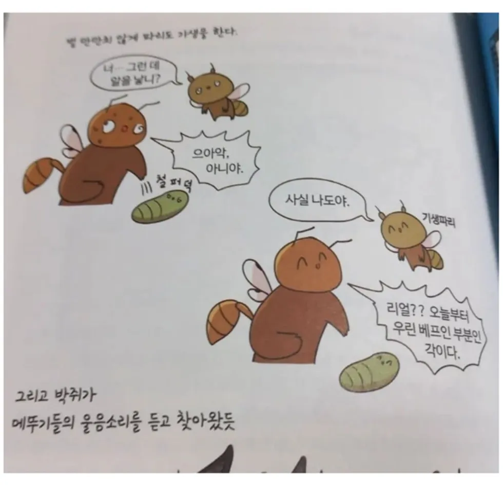 요즘 유행하는 학습만화는