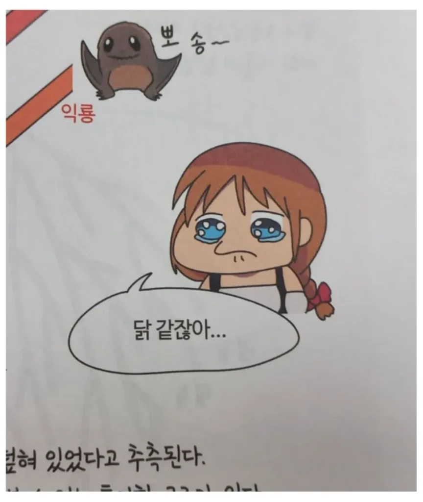 요즘 유행하는 학습만화는