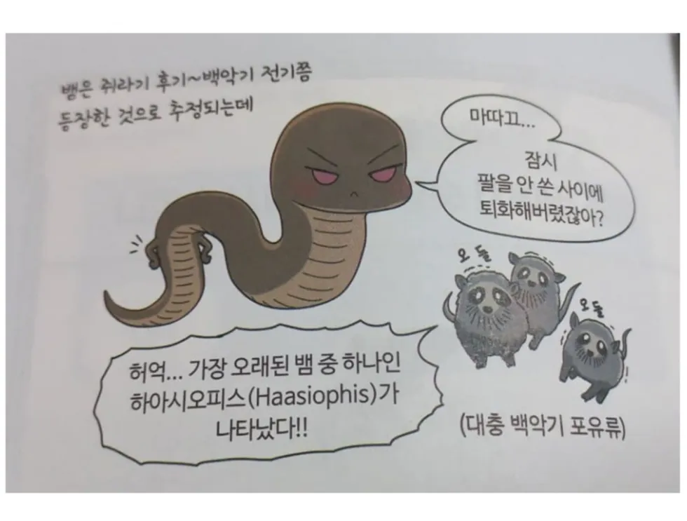 요즘 유행하는 학습만화는