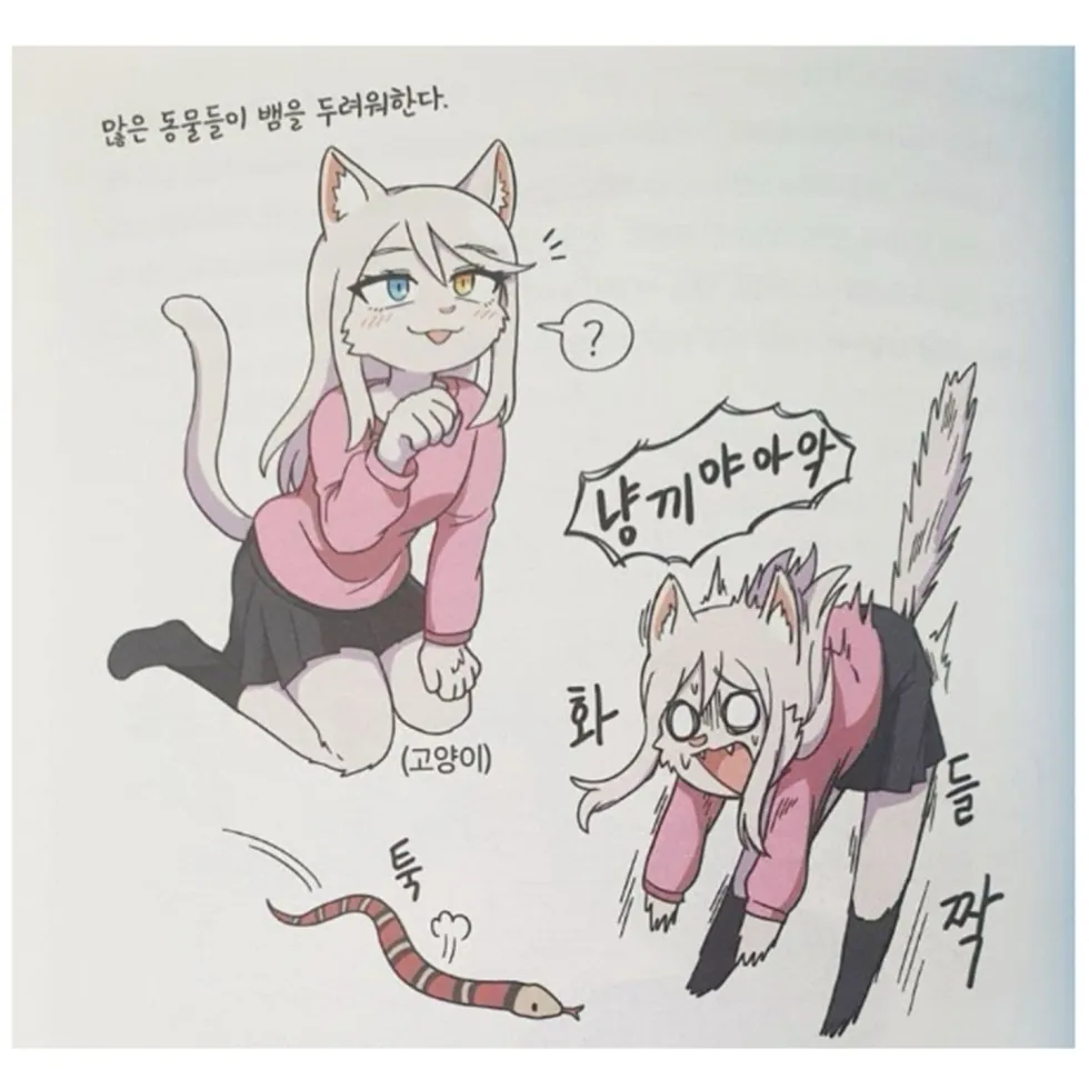 요즘 유행하는 학습만화는