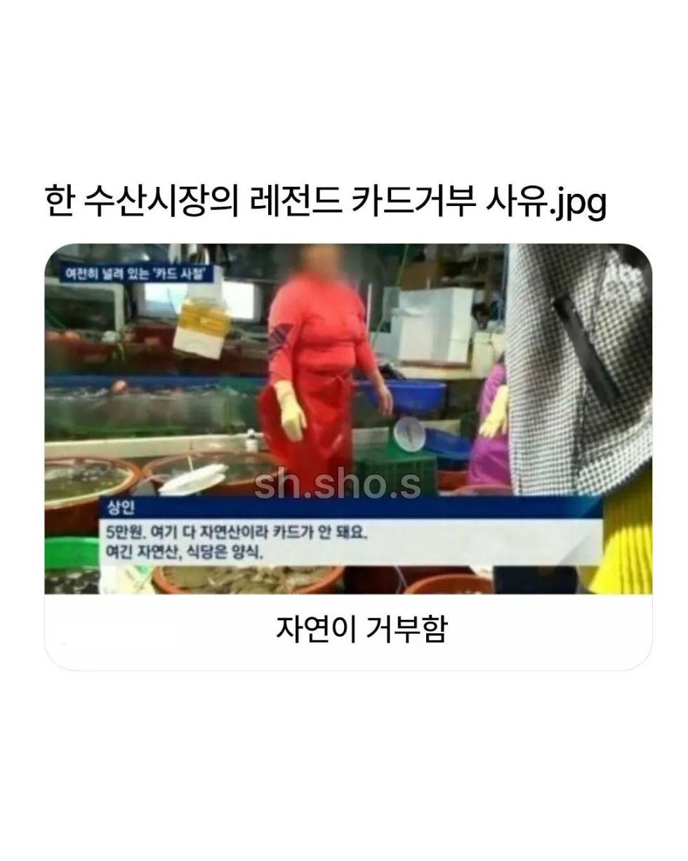 말퓨리온, 수산시장에 나타나
