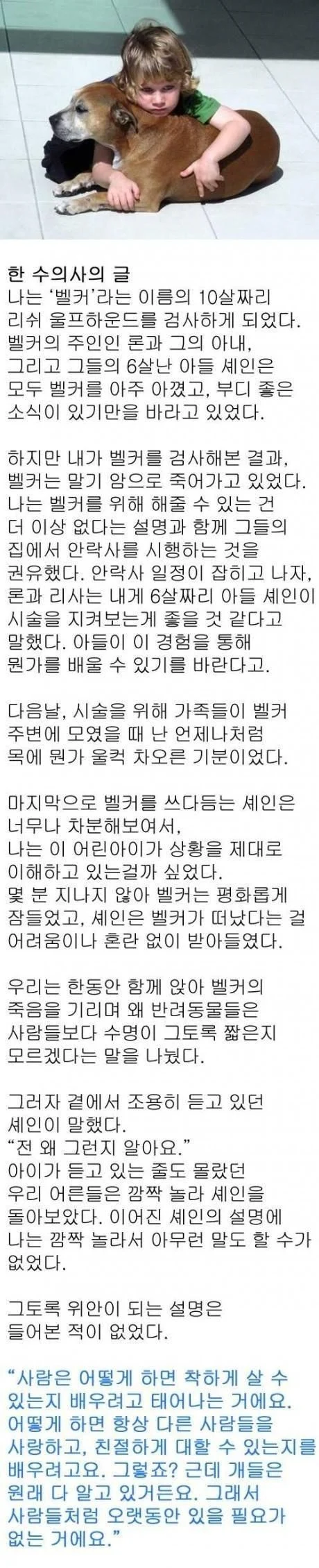 반려동물 수명이 짧은 이유