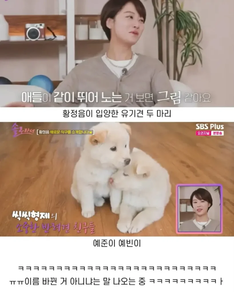 황정음 가족 이름, 뭔가 달라진 것 같은 느낌